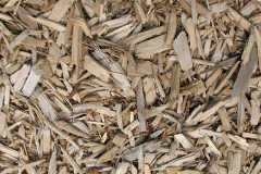 biomass boilers Cutgate